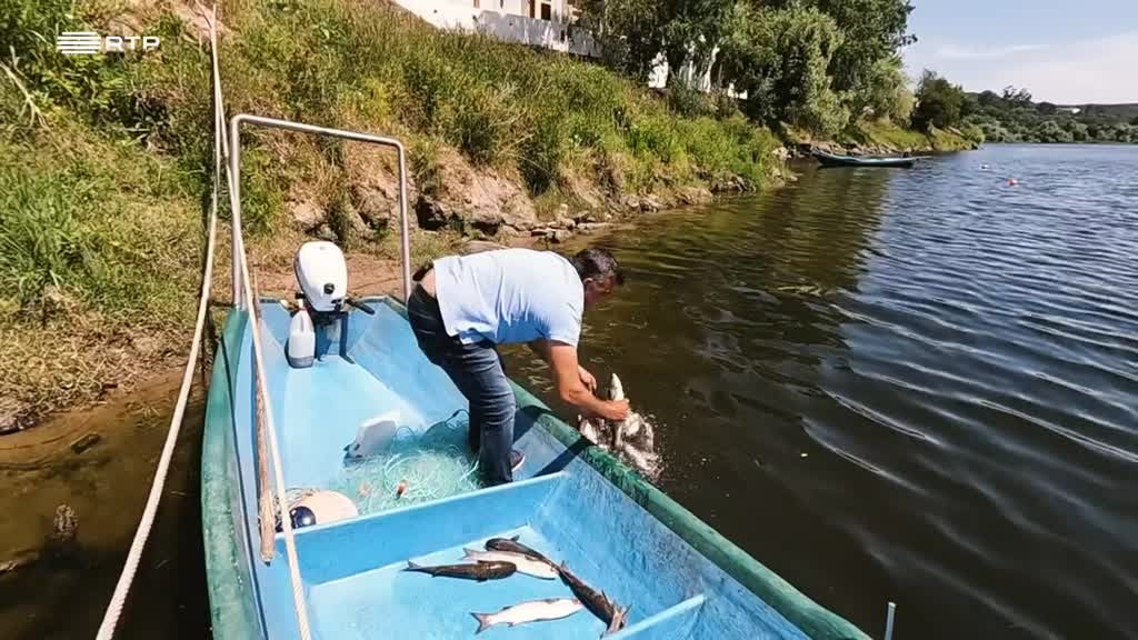 Imagem de Por Amor à Tradição