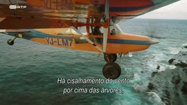 Imagem de Pelos Céus