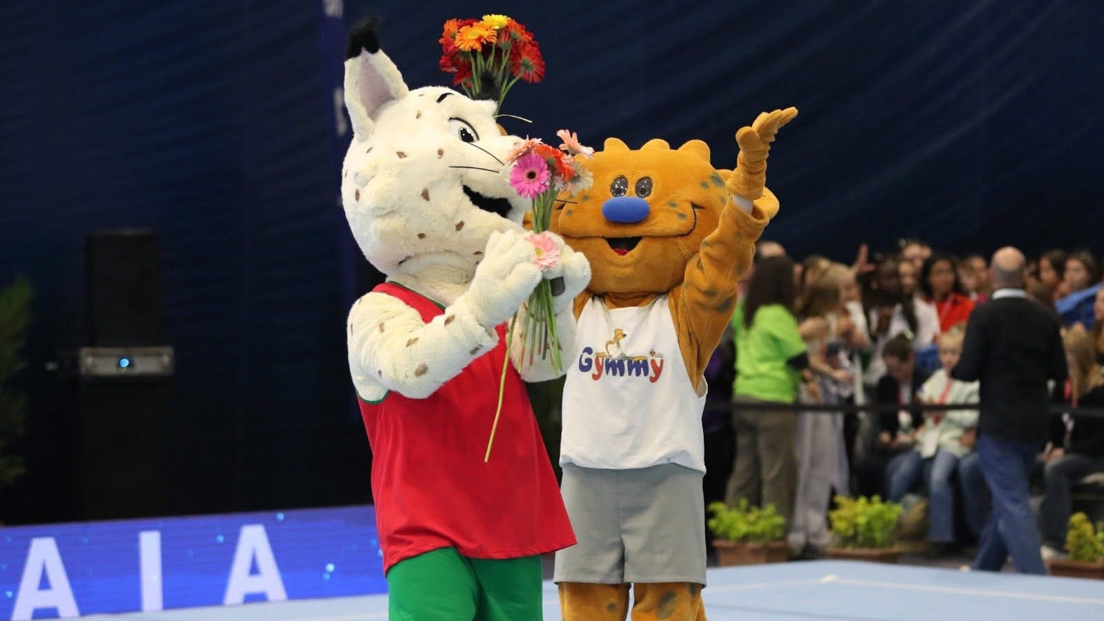 Imagem de Ginástica - Maia Internacional Acro Cup 2026