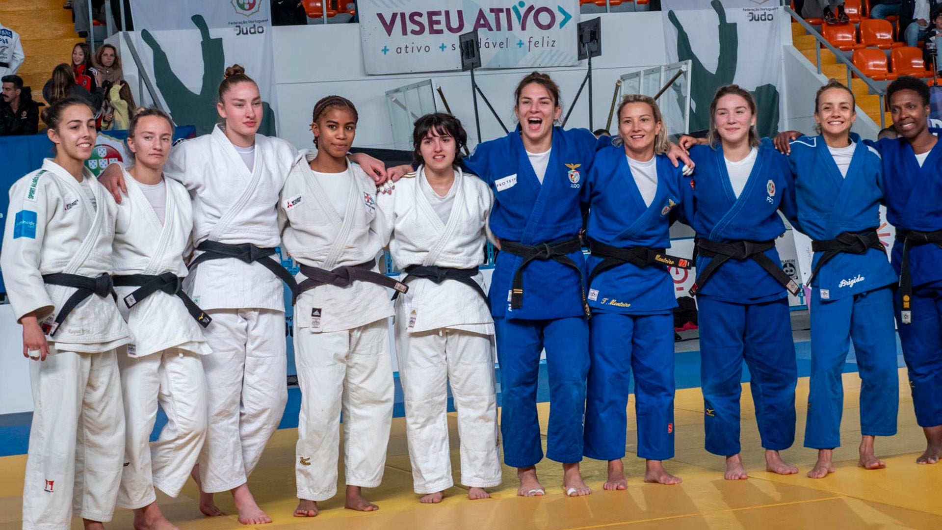 Imagem de Judo - Campeonato nacional de equipas seniores 2024