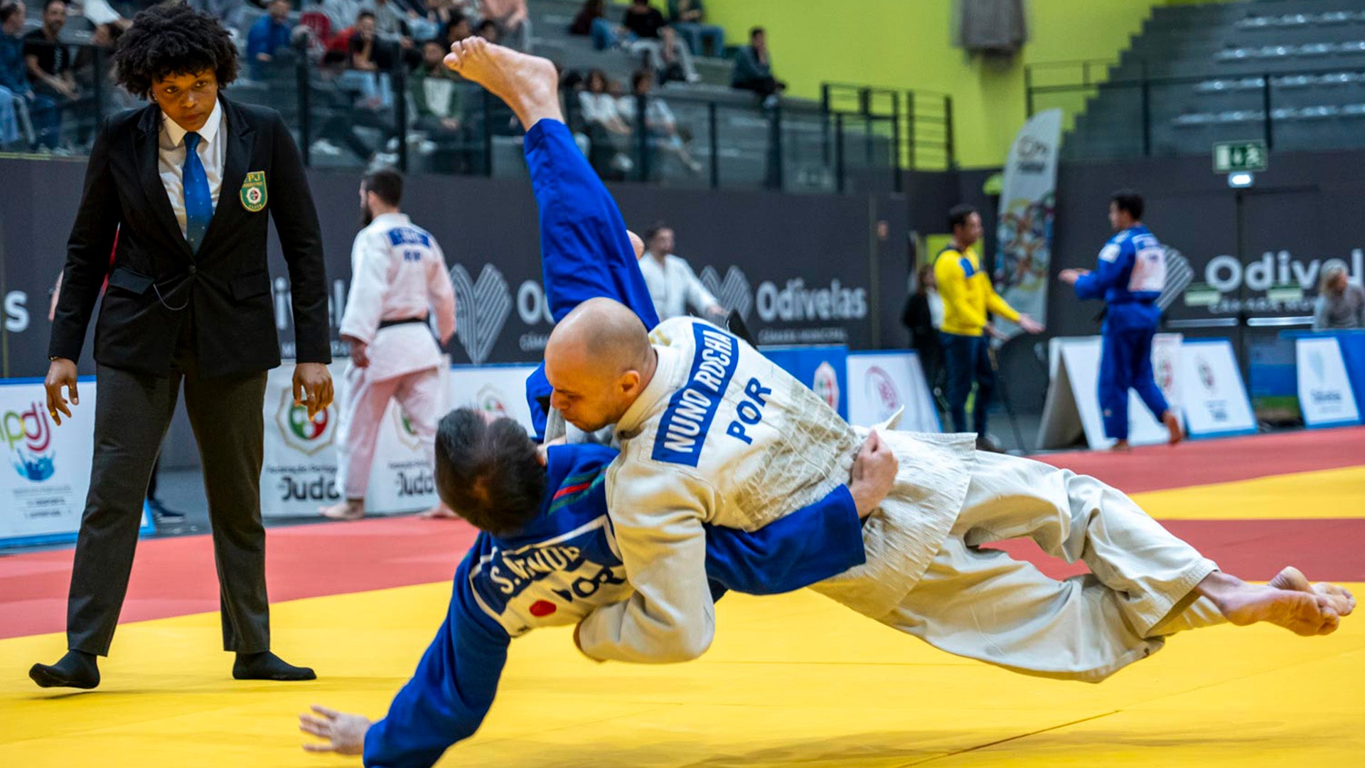 Imagem de Judo - Campeonato de Apuramento para a Selecção Nacional Seniores 2024