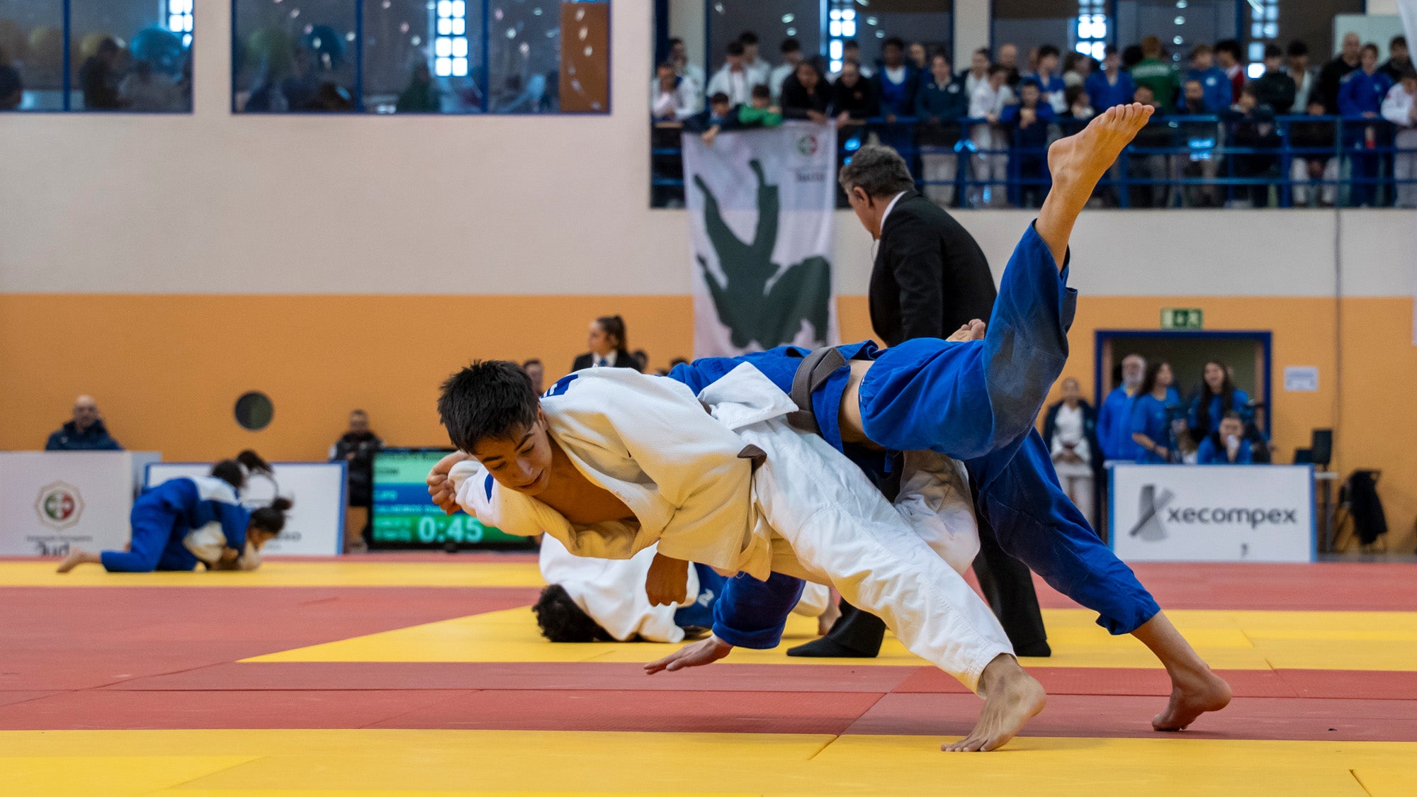 Imagem de Judo - Campeonato de Apuramento para a Seleção Nacional de Cadetes 2025