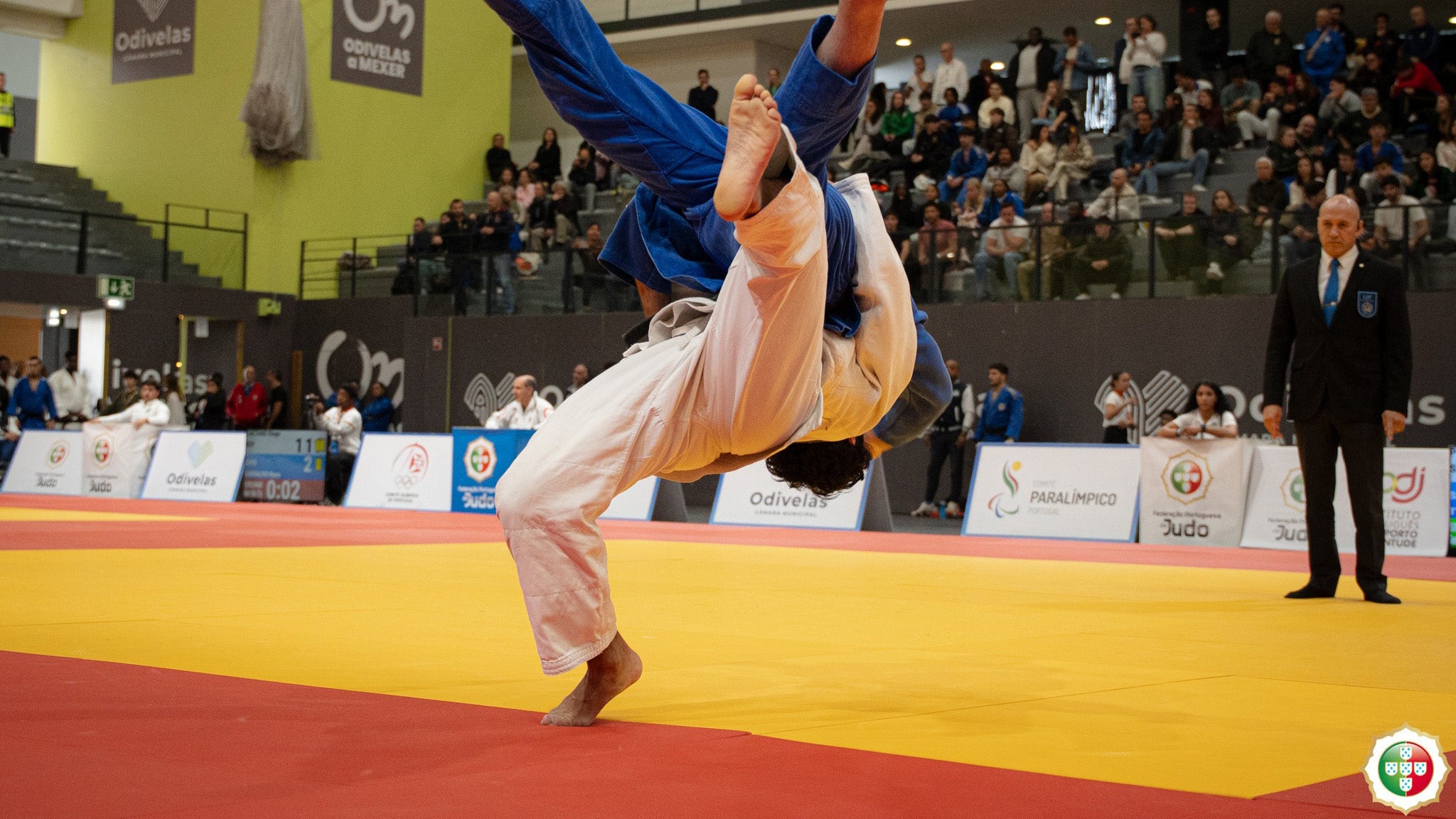 Imagem de Judo - Judo - Campeonato ASN Seniores, Paralímpico e Judo adaptado 2025