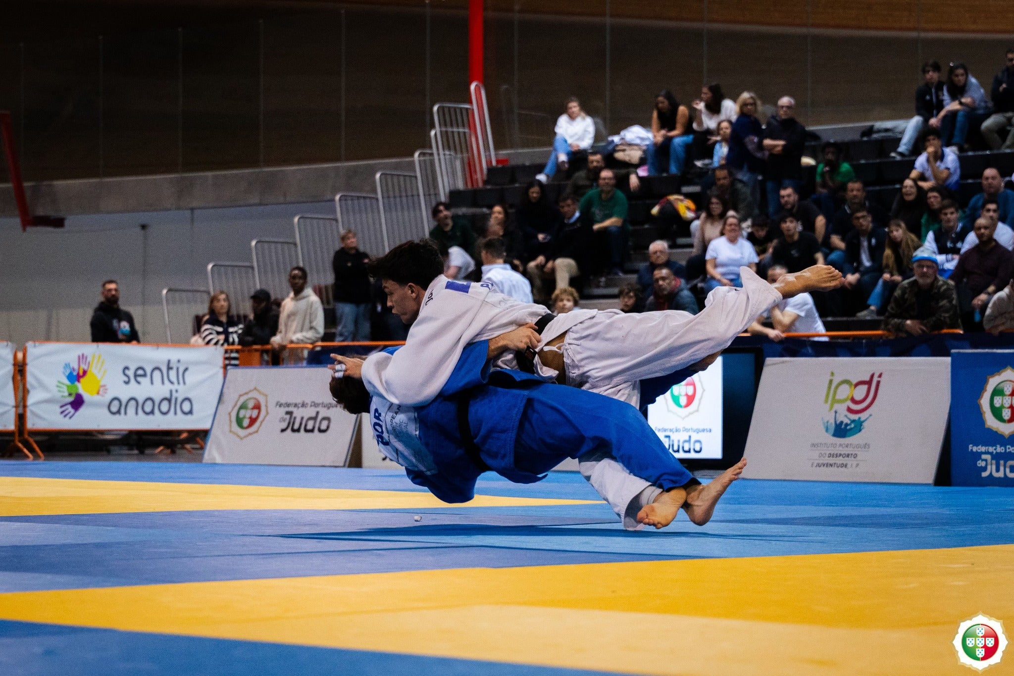 Imagem de Judo - Campeonato de Apuramento para Seleção Nacional de Juniores 2026