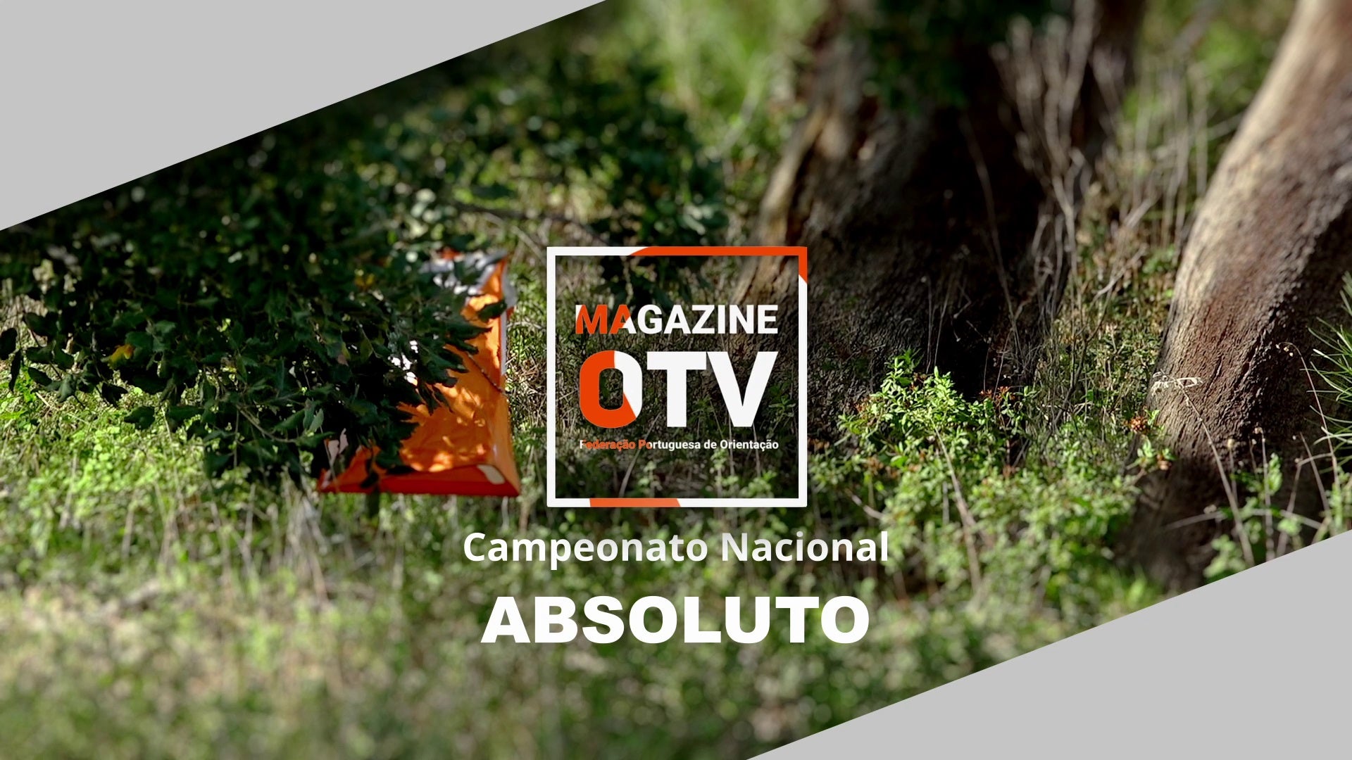 Imagem de Orientação - Campeonato Nacional Absoluto 2025 - Santiago do Cacém