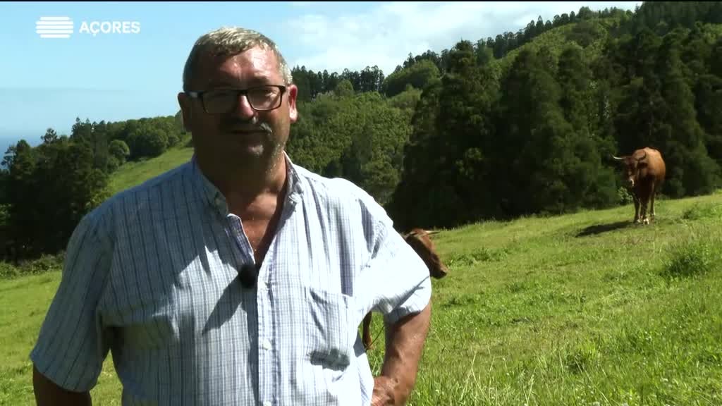 Imagem de Vira e Volta - Joaquim Hermínio Silveira | Faial