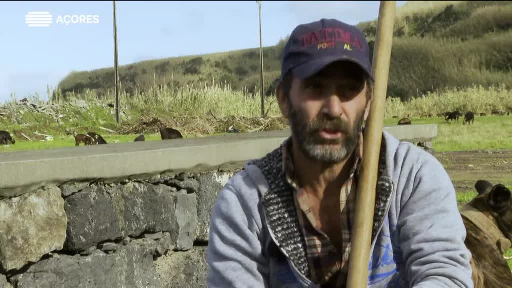 Imagem de Vira e Volta - Roberto Plácido | São Miguel