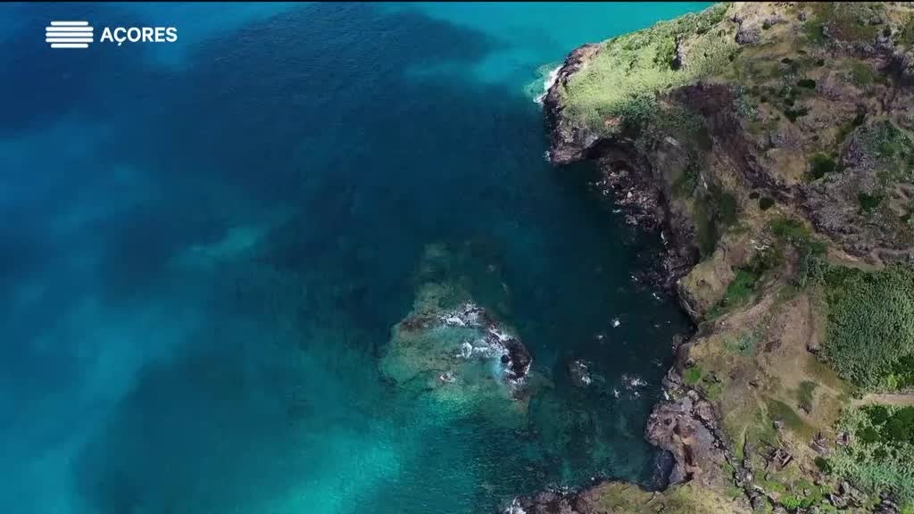 Imagem de Vira e Volta - José Moura "Quaresma" | Santa Maria