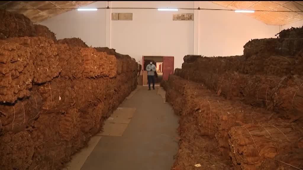 Imagem de Encantos de Moçambique - Malema