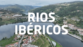 Imagem de Triatlo Rios Ib�ricos 2026