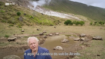A Aventura de David Attenborough pelo Mu - Grande Barreira de Corais