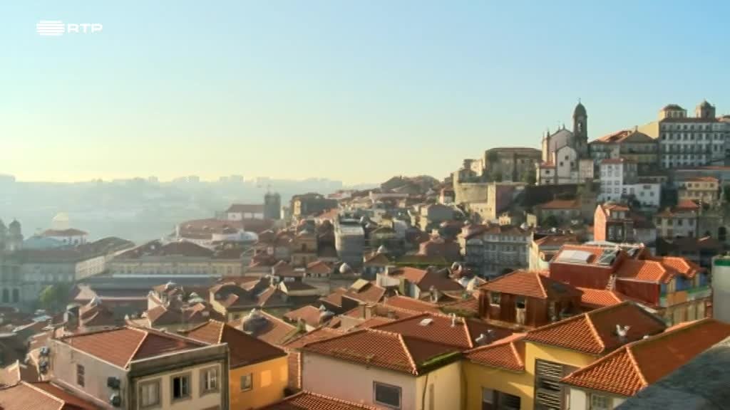 Imagem de Os Sobreviventes no Zoo