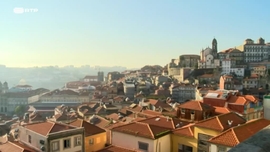 Imagem de Os Sobreviventes no Zoo