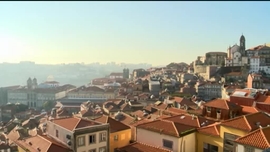 Imagem de Os Sobreviventes no Zoo