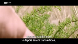 Imagem de O Reino da gua Doce