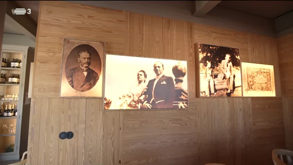 Imagem de Noites do Euro