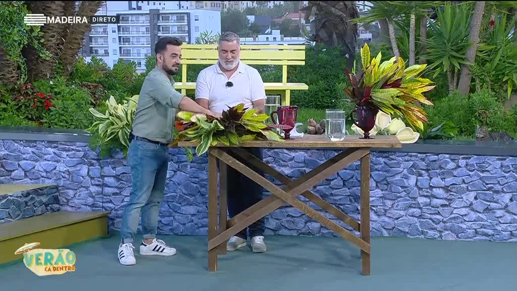 Imagem de Verão Cá Dentro 2024