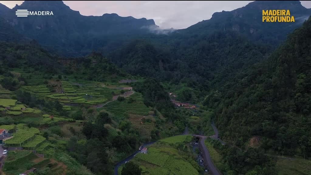 Imagem de Madeira Profunda