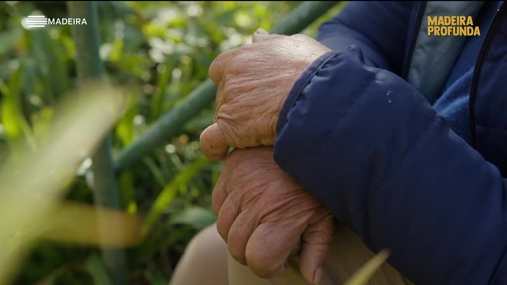 Imagem de Madeira Profunda