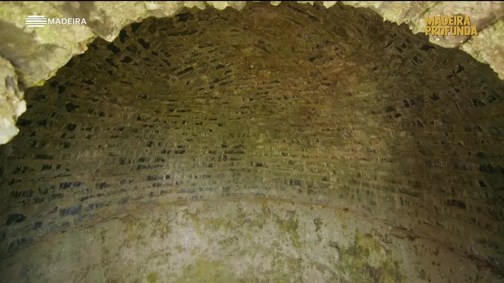 Imagem de Madeira Profunda