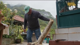 Imagem de Madeira Profunda