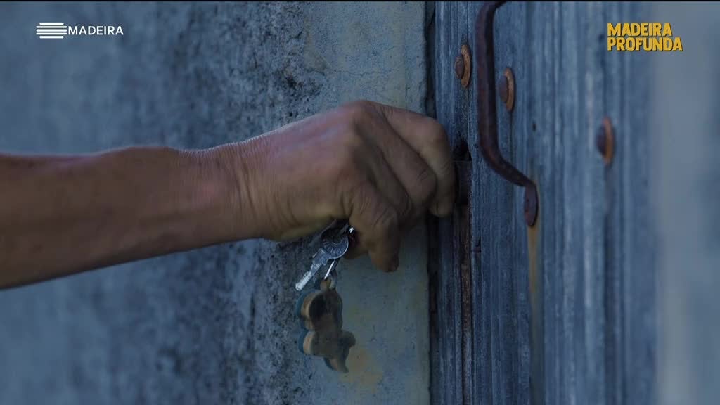 Imagem de Madeira Profunda