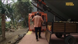 Imagem de Madeira Profunda