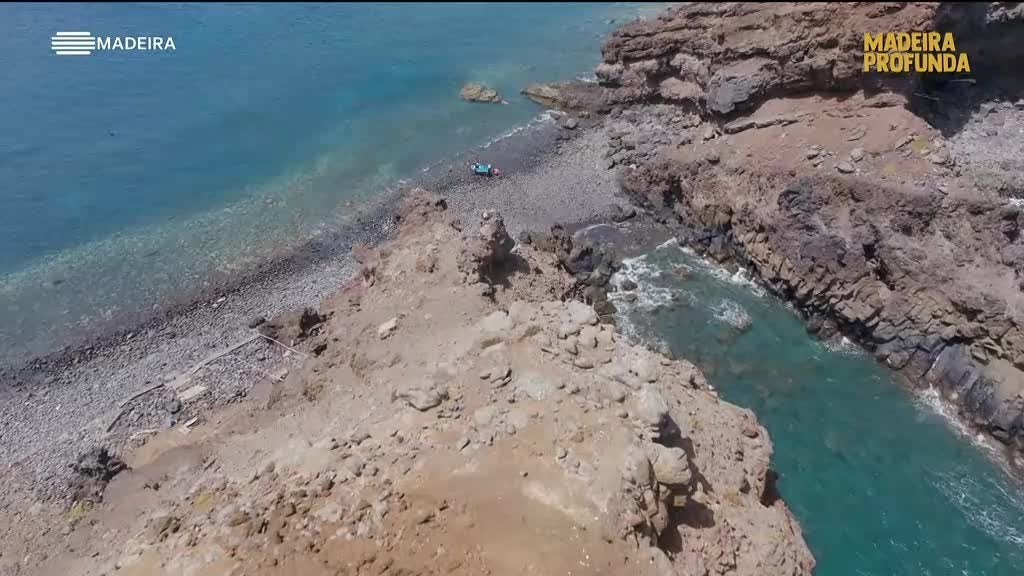 Imagem de Madeira Profunda