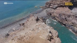 Imagem de Madeira Profunda