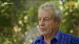 Imagem de Madeira Profunda