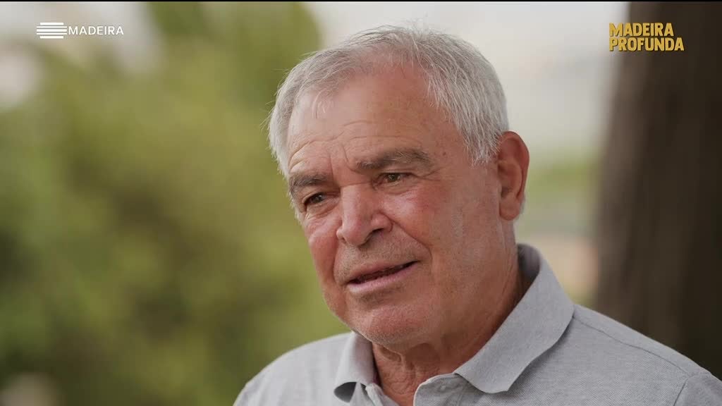 Imagem de Madeira Profunda