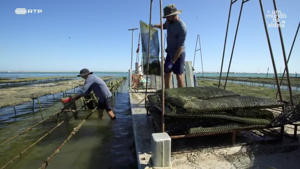 Imagem de Um Mundo na Aldeia - Freixo de Numão e Culatra