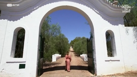 Imagem de Curia e Trindade