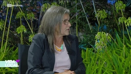 Imagem de Vida Local