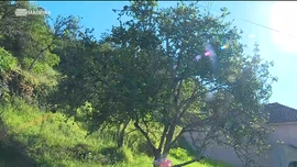 Imagem de Malta Jovem