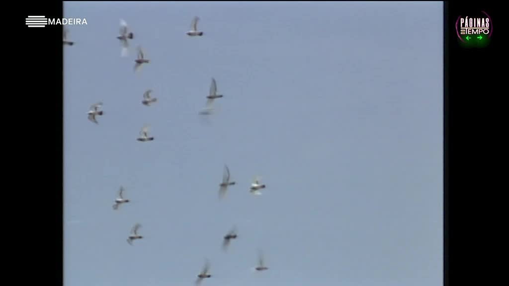 Imagem de Páginas do Tempo