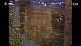 Imagem de P�ginas do Tempo