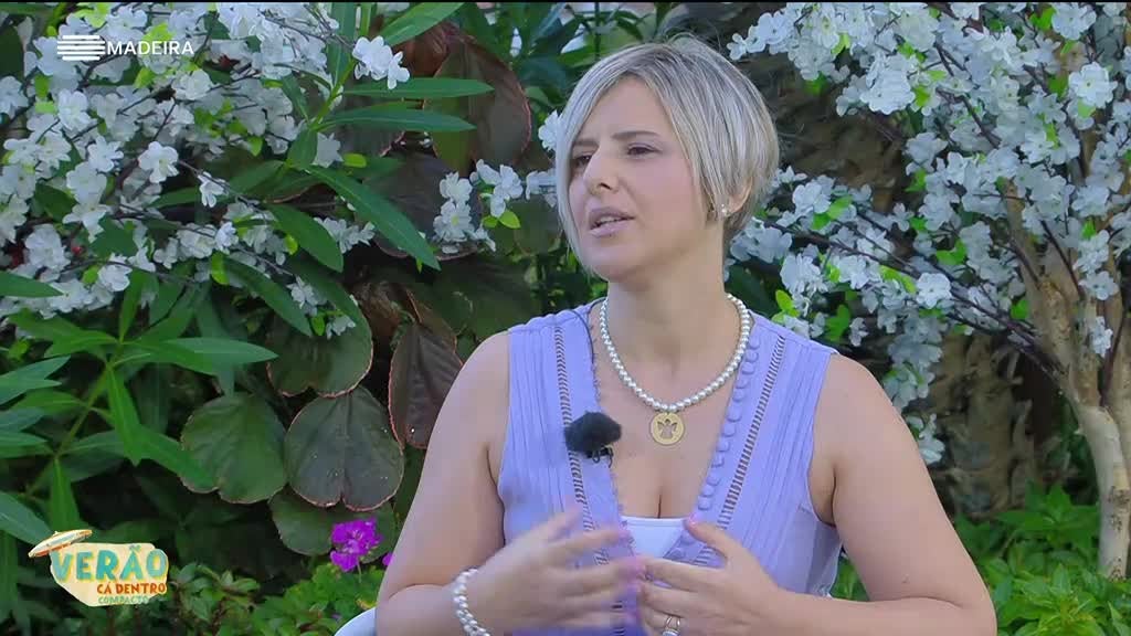 Imagem de Compactos Verão Cá Dentro 2024