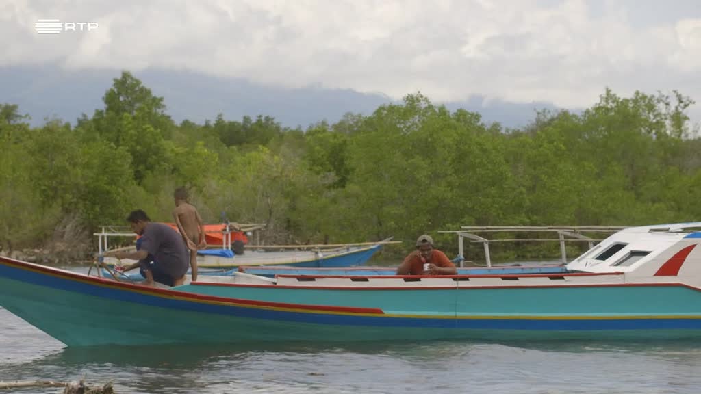 Imagem de A Minha Indonésia - A Ilha das Flores e a Semana Santa