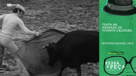 Imagem de Pessa  Pea