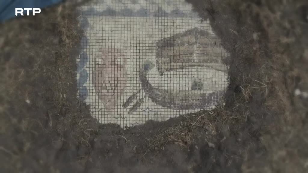 Imagem de Os Argonautas e a Moeda de Ouro