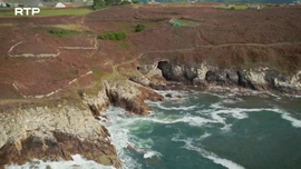 Imagem de Os Argonautas e a Moeda de Ouro