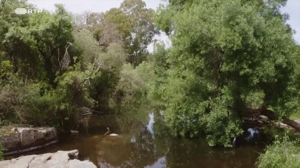 Imagem de O Planeta Vivo - A Água