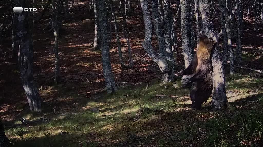 Imagem de A Península - Montanhas