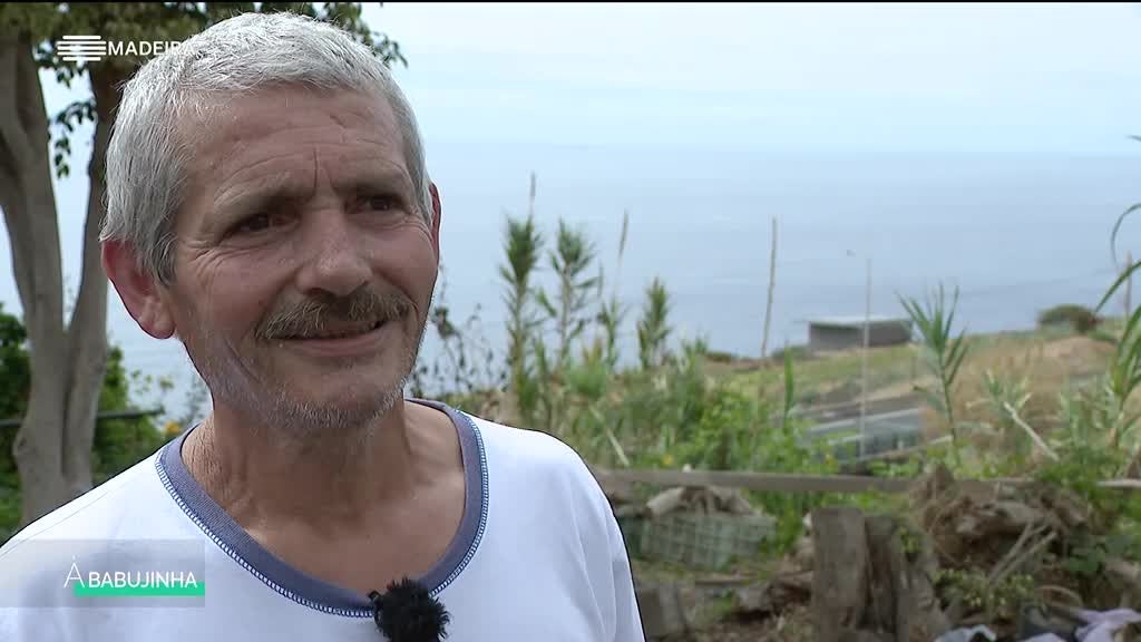 Imagem de À Babujinha