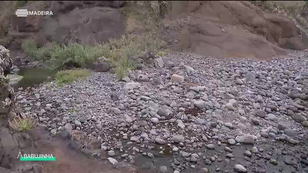 Imagem de À Babujinha