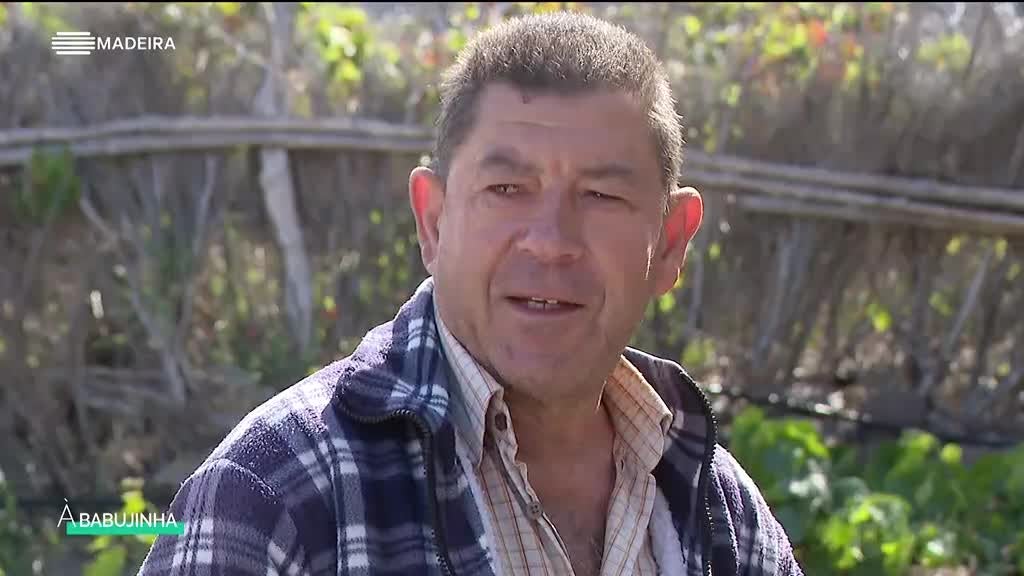 Imagem de À Babujinha