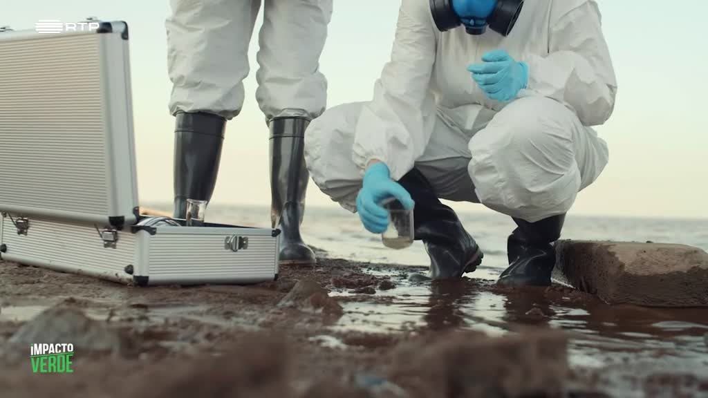 Imagem de Impacto Verde