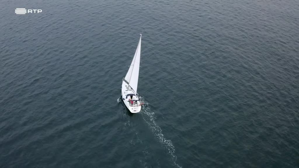 Imagem de Impacto Verde