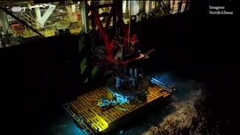 Imagem de Impacto Verde